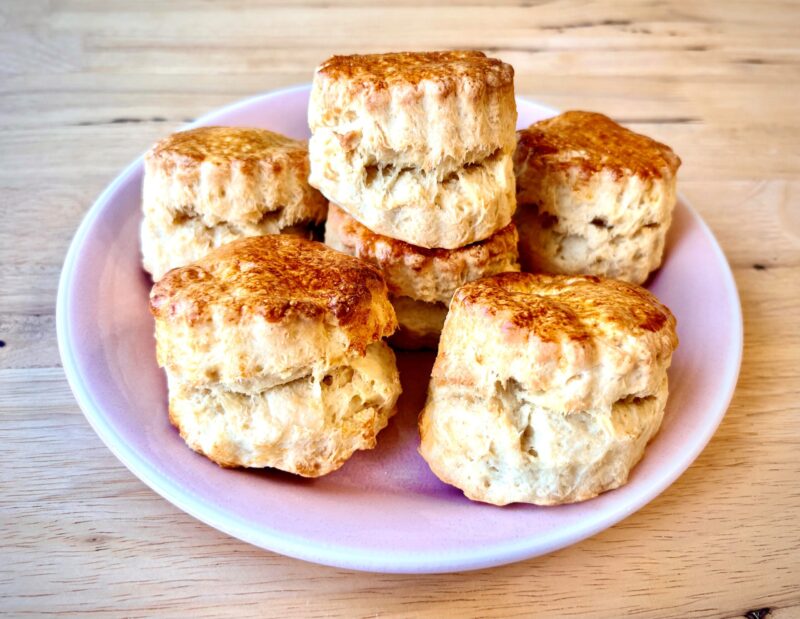001【商品】UPHILL SCONE様（2026年）
