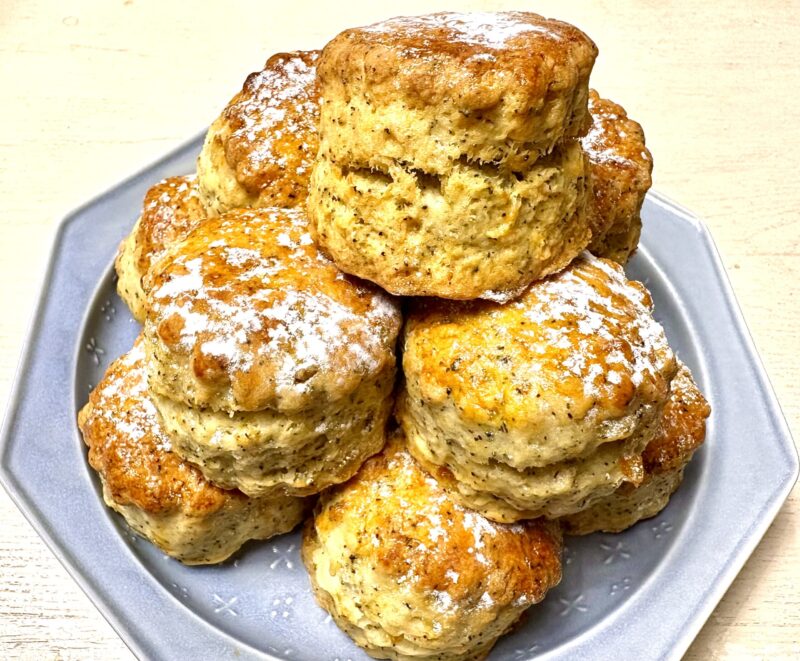 1【商品】UPHILL SCONE様（2025年）